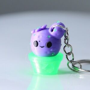 Cute Mini Cactus Mix Key Chain New!